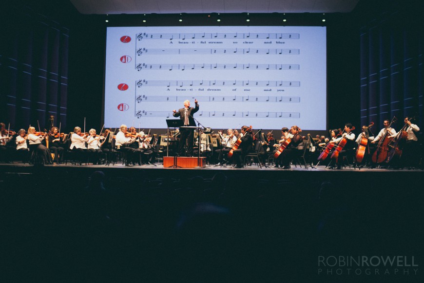 The conductor leads the orchestra