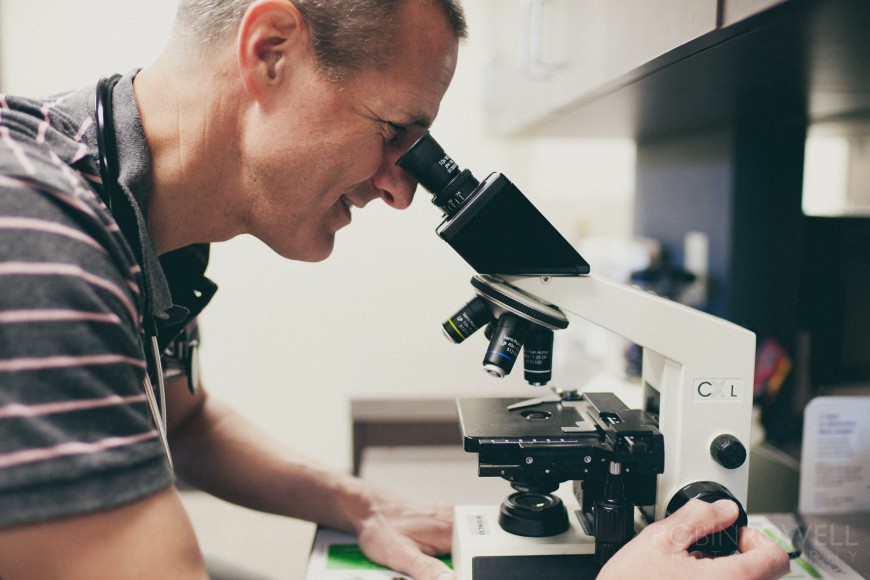 A veterinarian looks through a microscope